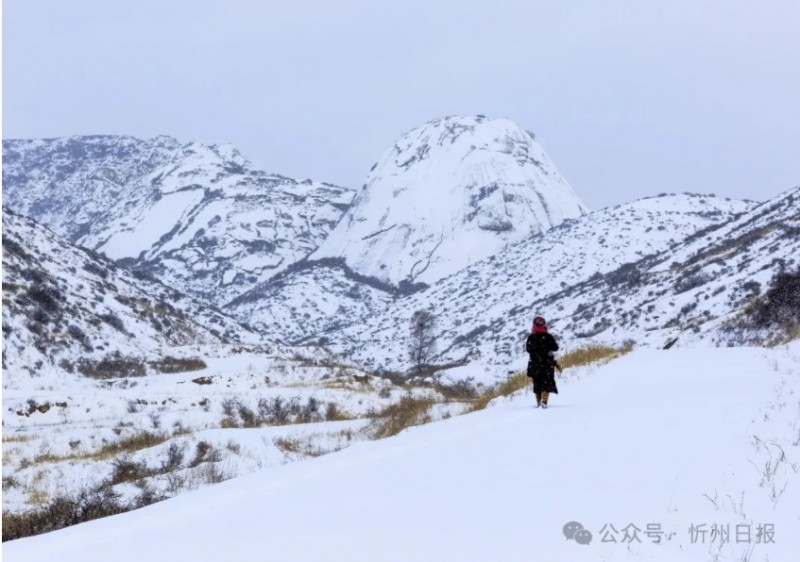 微信截图_20260326145623