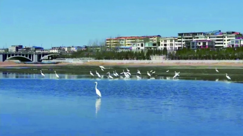 微信截图_20260326150001