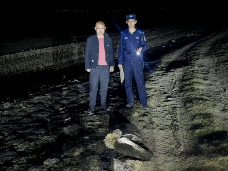 微信截图_20260327152102