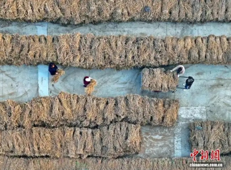 微信截图_20260327153115