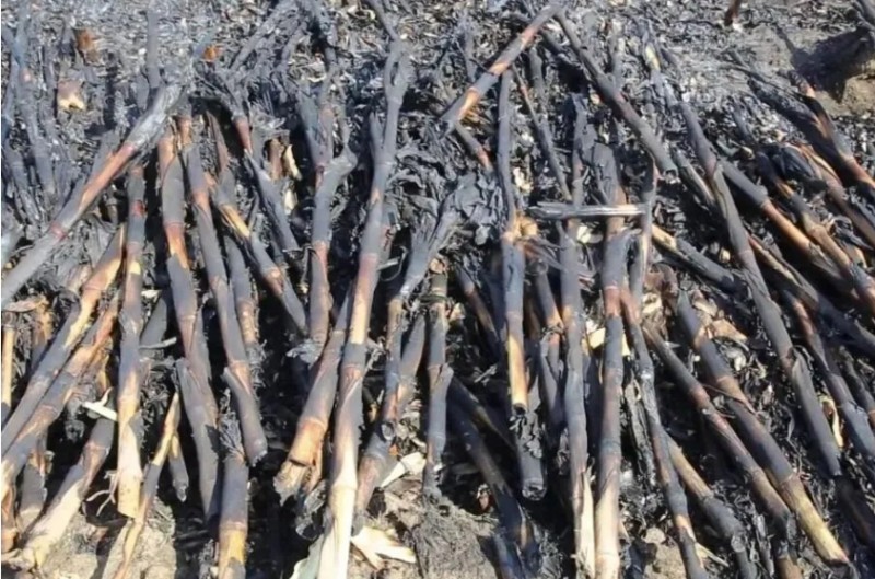 逼停11辆列车，拘留！各位村民，别学他们！