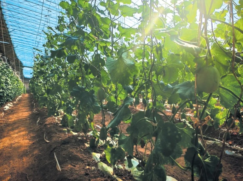 微信截图_20260331145409