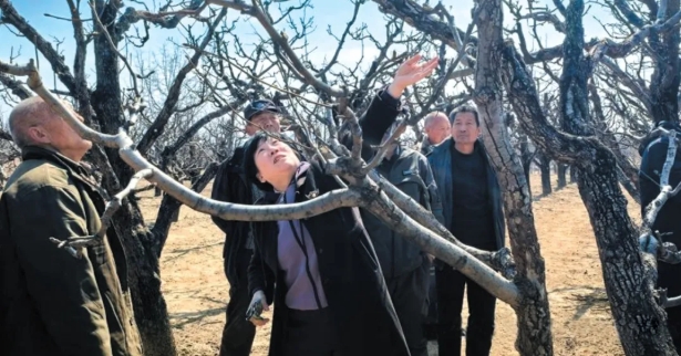 微信截图_20260331145644