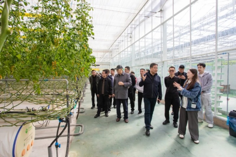 微信截图_20260331150554