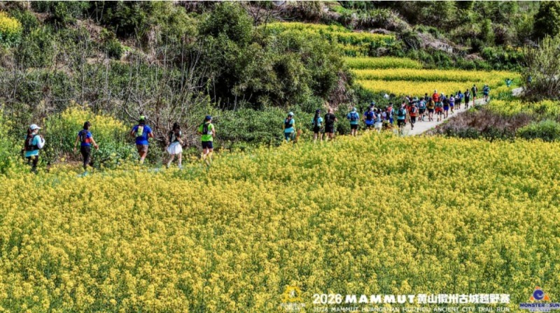 微信截图_20260402163352