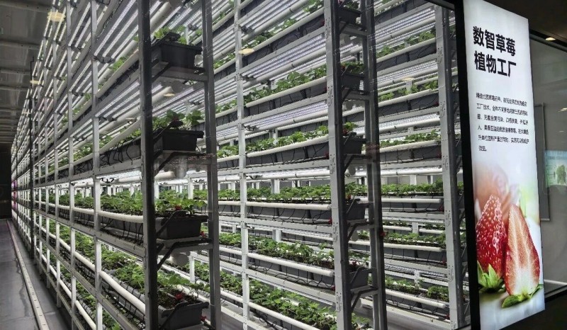 山西省临汾市吉县县委书记赵松强带队赴杭州市四维生态科技有限公司 美连美幻网络科技有限公司考察学习