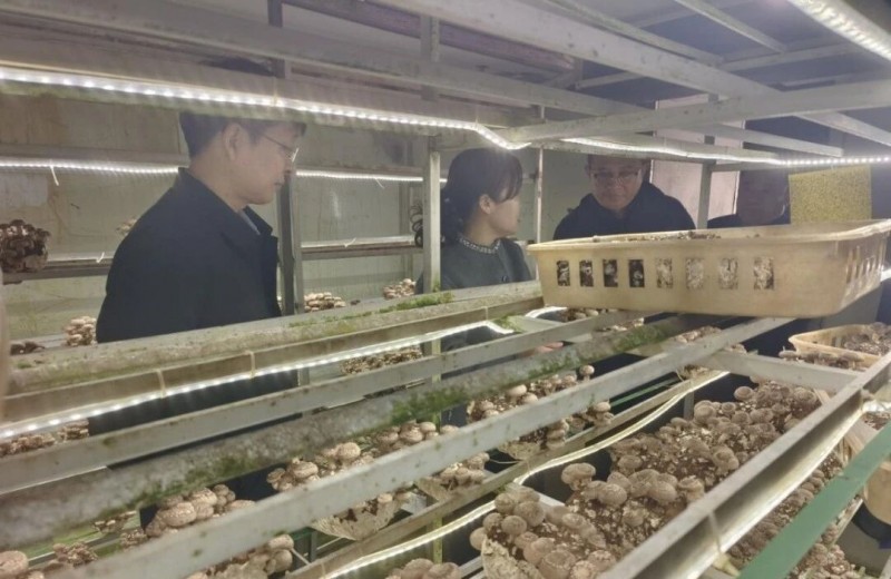山西省运城市垣曲县赴沪精准招商考察 助推食用菌产业智能升级