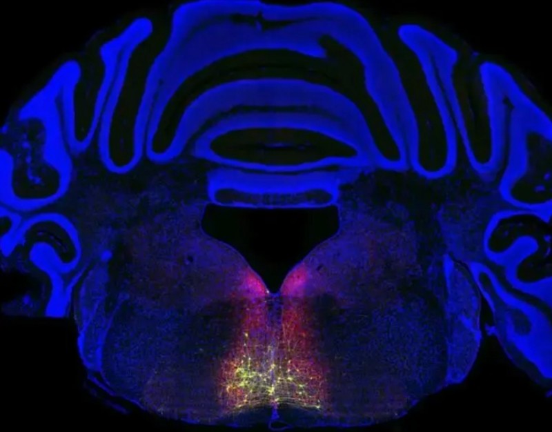 微信截图_20260407145540