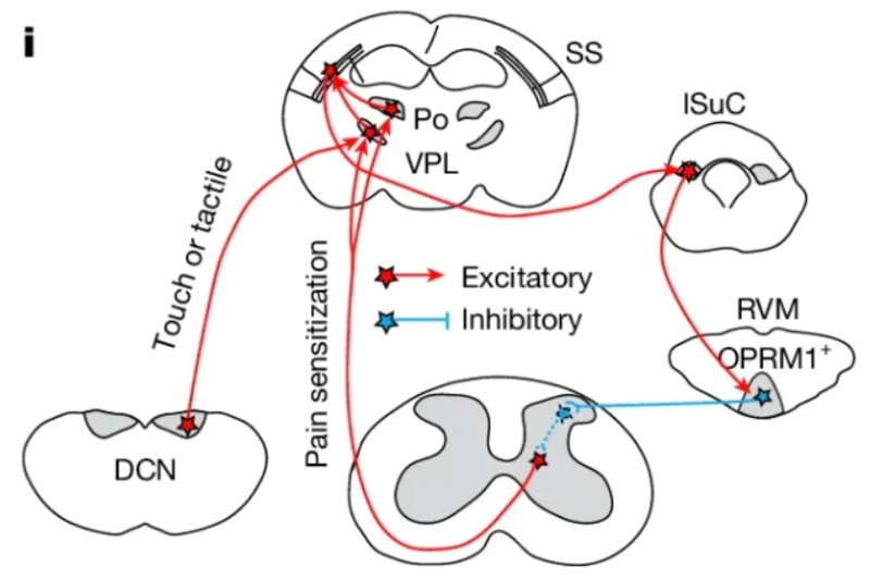 微信截图_20260407145610