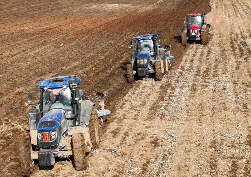 山西左云：暖心服务到田间 多点发力助春耕