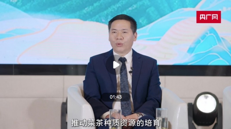 锚定三大方向，推动宁德天山茶迈向百亿产值