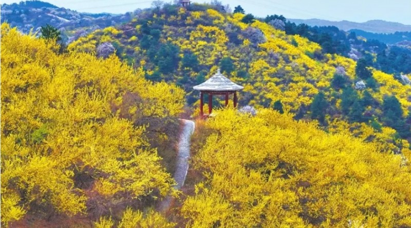 微信截图_20260407174731