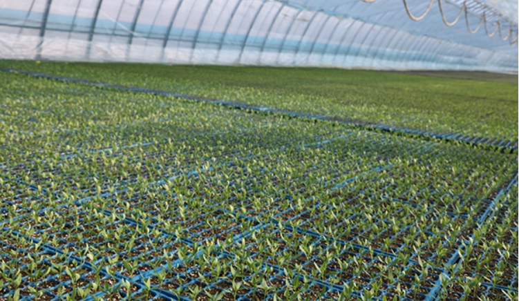 微信截图_20260408175543