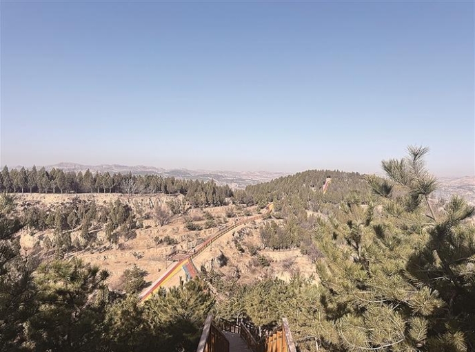 山西吕梁 | 临县城区东山森林康养项目见闻