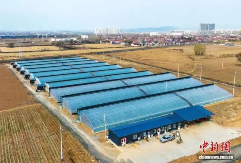 微信截图_20260410121632