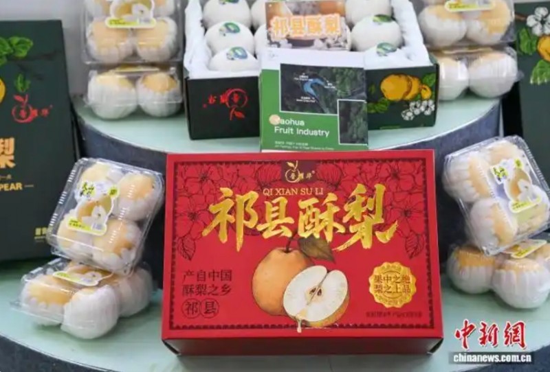 图为祁县酥梨。范景淇 摄