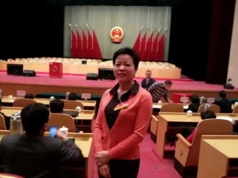 箱包女王破产后卖包子重启人生3