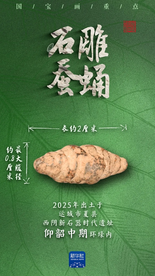 山西多地出土,它们是5000多年前的蚕蛹艺术品吗?