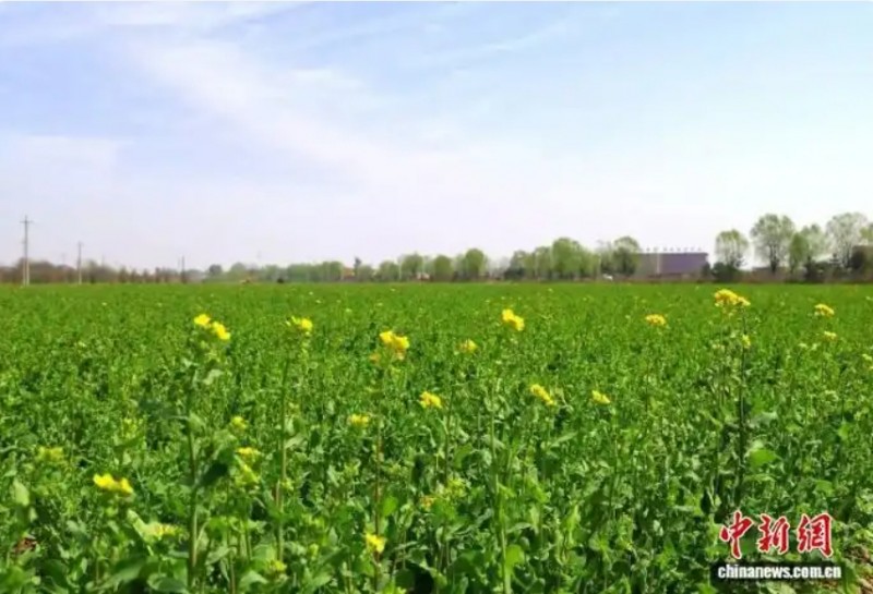 &ldquo;一地双收&rdquo;加码农文旅融合 山西忻州激活&ldquo;金色密码&rdquo;