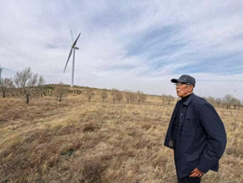 山西阳高县:承包多年的“荒山荒坡”被判为“国有林地”?记者调查