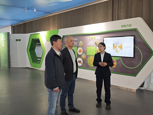 晋商俱乐部深入灵石王家庄园考察：探秘&ldquo;灵石之光&rdquo;，体验多元文旅新业态