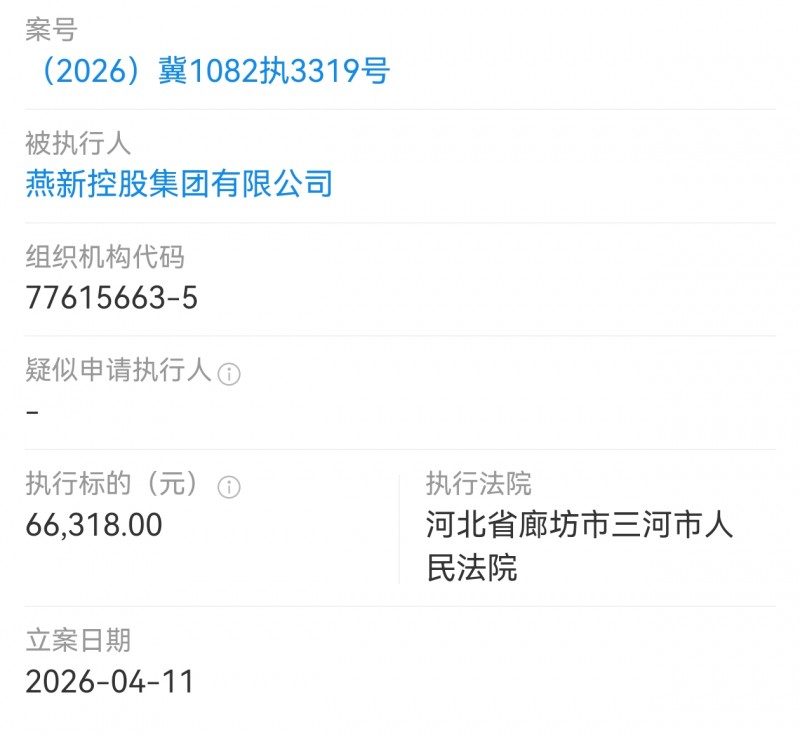 燕新控股集团被廊坊法院执行6.6万多