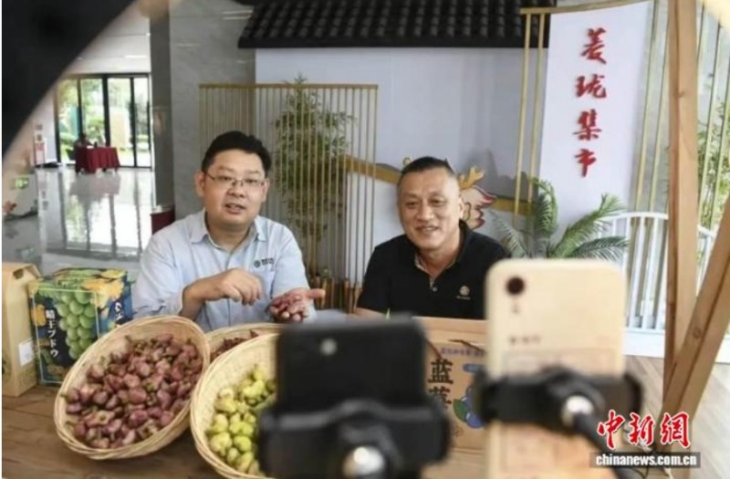 南湖菱直播。秀洲区委统战部供图