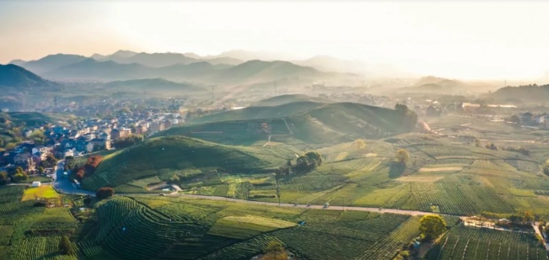 微信截图_20260421153243