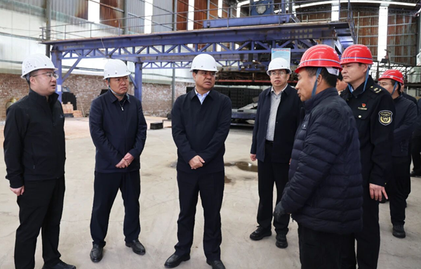 山西省临汾市翼城县委副书记、县长杨海林深入部分企业检查生态环境保护工作