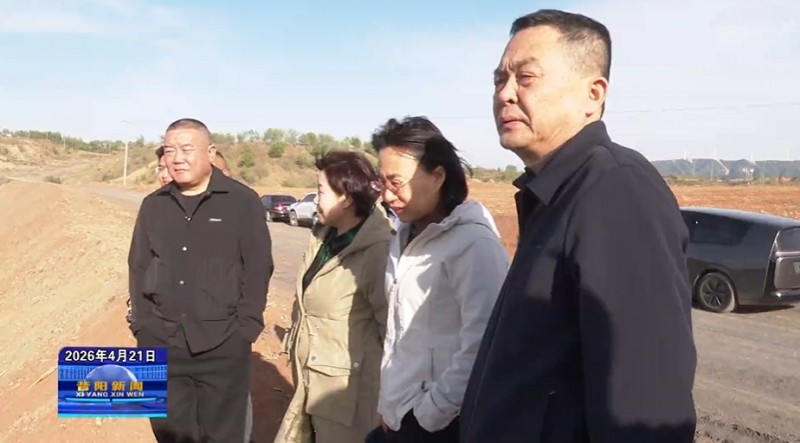 黄亚平调研尚太四期项目建设