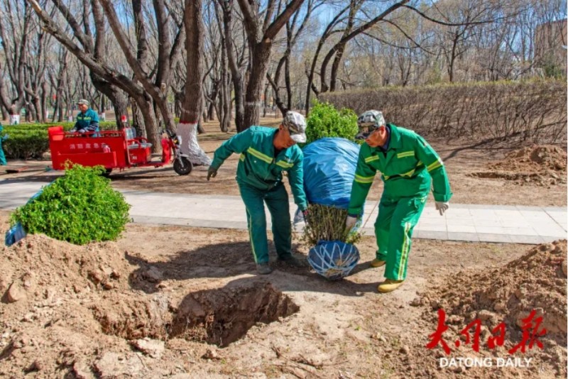 微信截图_20260424152737