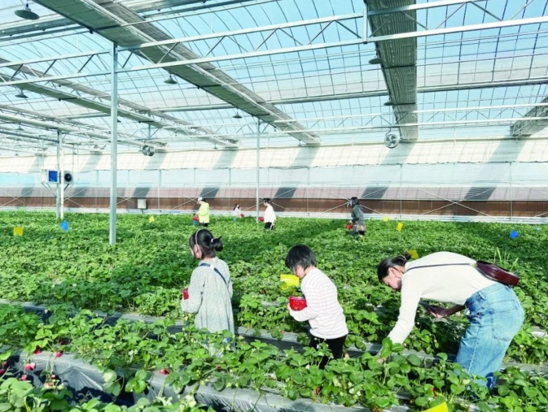 怀仁市&ldquo;五抓五促&rdquo;推进乡村振兴全面提质