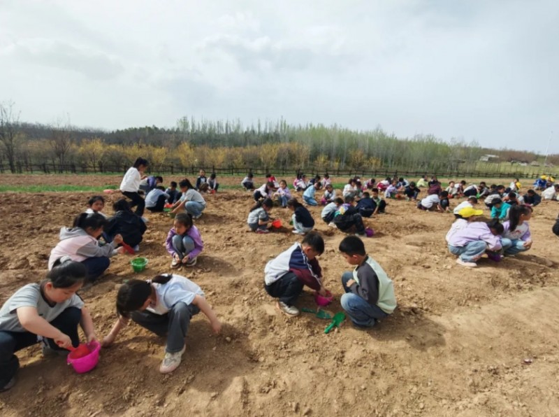 微信截图_20260428104450